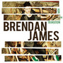 Lyrics of Nothin' but love Brendan James