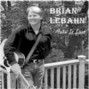 Il testo della Didn't say goodbye Brian Lebahn