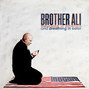 Il testo della All you need Brother Ali