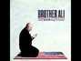 Il testo della Letter to my countrymen Brother Ali