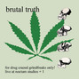 Lyrics of Choice of a new generation Brutal Truth