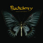 Il testo della Imminent bail out Buckcherry