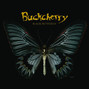 Il testo della Too drunk Buckcherry