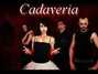 Lyrics of Out body experience Cadaveria