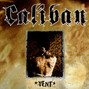 Il testo della Roots of pain Caliban