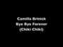 Il testo della Bye bye forever Camilla