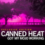 Il testo della Got my mojo working Canned Heat