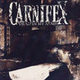 Il testo della Lie to my face Carnifex