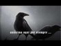 Il testo della The eclipse / the raven... Carpathian Forest