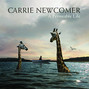 Il testo della Abide Carrie Newcomer