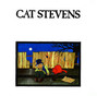 Il testo della Bitterblue Cat Stevens