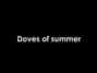 Il testo della Doves of summer Chairlift