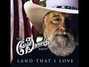 Lyrics of Let freedom ring Charlie Daniels Band