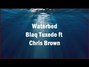Il testo della Waterbed Chris Brown