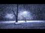 Lyrics of Winter song Chris Rea