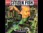 Paroles de Wet cement Citizen Fish