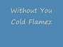 Lyrics of Without you Cold Flamez