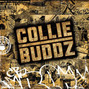 Lyrics of Movin' on Collie Buddz