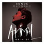 Il testo della Diamonds (live) Conor Maynard