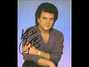 Lyrics of I don't love you Conway Twitty