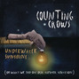 Il testo della Amie Counting Crows