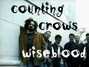 Il testo della Wise blood Counting Crows