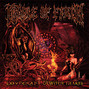 Il testo della From the cradle to enslave Cradle Of Filth