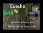 Il testo della Bakit? Cueshe