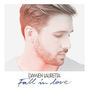 Il testo della Fall in love Damien Lauretta