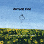 Il testo della Amie Damien Rice