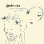 Il testo della Rootless tree Damien Rice