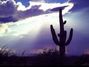 Lyrics of Tucson, arizona Dan Fogelberg