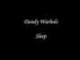 Il testo della Sleep Dandy Warhols
