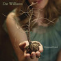 Il testo della Go to the woods Dar Williams