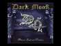 Il testo della Echoes of the sea Dark Moor