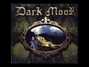 Il testo della Life for revenge Dark Moor