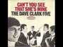 Lyrics of Can't you see that she's mine Dave Clark Five