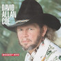 Paroles de Stand by your man David Allan Coe