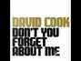 Lyrics of Don't you forget about me David Cook