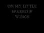 Il testo della Little sparrow David Cook