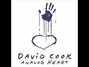 Il testo della Searchlights David Cook