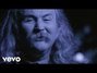 Il testo della Drive my car David Crosby