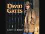 Il testo della I will wait for you David Gates
