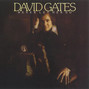 Il testo della Strangers David Gates