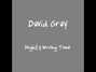 Il testo della Mighty wrong time David Gray