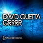 Il testo della Grrrr David Guetta