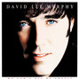 Paroles de Almost like being there David Lee Murphy
