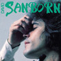 Il testo della Smile David Sanborn