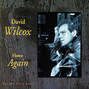 Il testo della Distant water David Wilcox