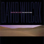 Il testo della Our town David Wilcox